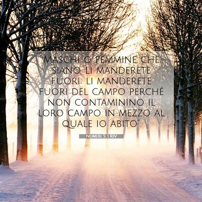 Numeri 5:3 Versetto della Bibbia Spiegato