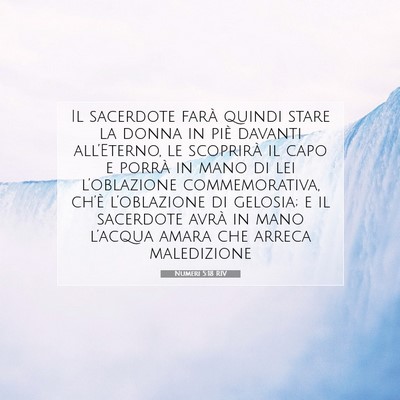 Numeri 5:18 Versetto della Bibbia Spiegato