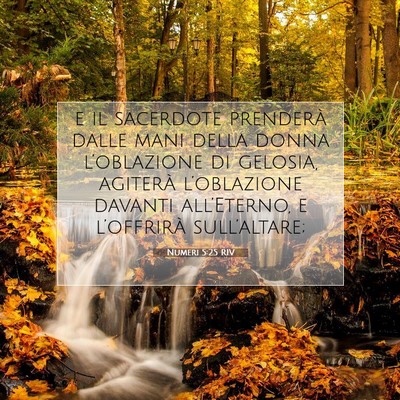 Numeri 5:25 Versetto della Bibbia Spiegato