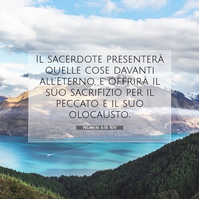 Numeri 6:16 Versetto della Bibbia Spiegato