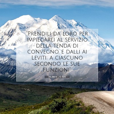 Numeri 7:5 Versetto della Bibbia Spiegato