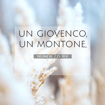 Numeri 7:15 Versetto della Bibbia Spiegato
