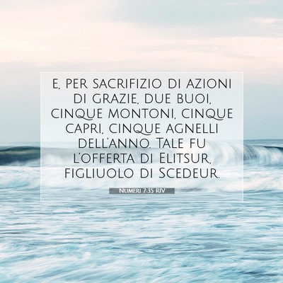 Numeri 7:35 Versetto della Bibbia Spiegato