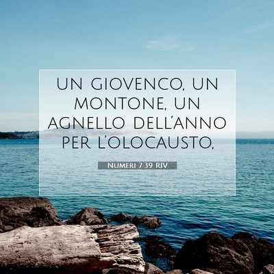 Numeri 7:39 Versetto della Bibbia Spiegato