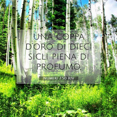 Numeri 7:50 Versetto della Bibbia Spiegato