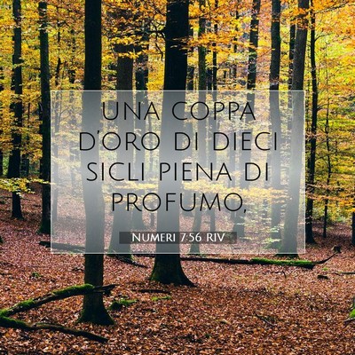 Numeri 7:56 Versetto della Bibbia Spiegato