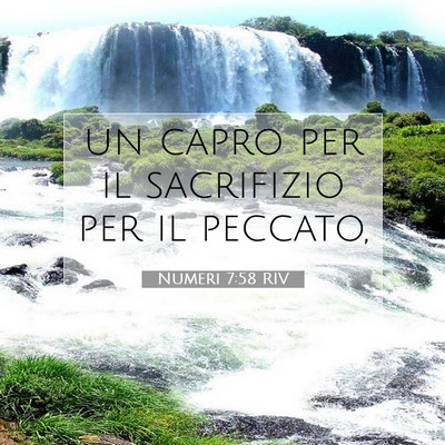 Numeri 7:58 Versetto della Bibbia Spiegato