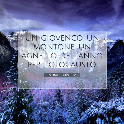 Numeri 7:69 Versetto della Bibbia Spiegato