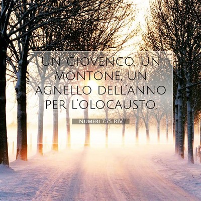 Numeri 7:75 Versetto della Bibbia Spiegato