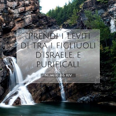 Numeri 8:6 Versetto della Bibbia Spiegato