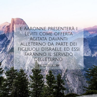 Numeri 8:11 Versetto della Bibbia Spiegato