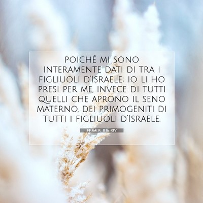 Numeri 8:16 Versetto della Bibbia Spiegato