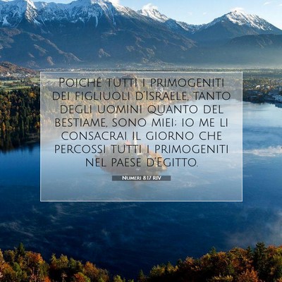 Numeri 8:17 Versetto della Bibbia Spiegato