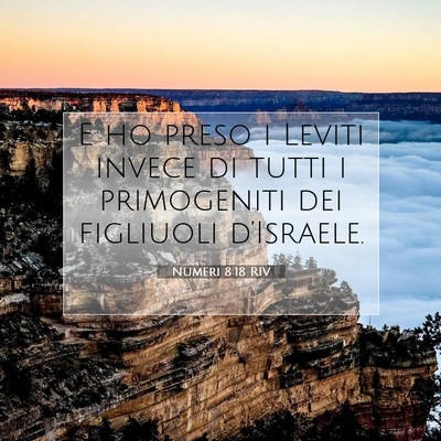 Numeri 8:18 Versetto della Bibbia Spiegato