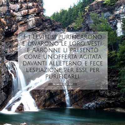 Numeri 8:21 Versetto della Bibbia Spiegato