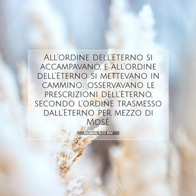 Numeri 9:23 Versetto della Bibbia Spiegato