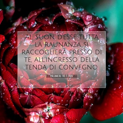 Numeri 10:3 Versetto della Bibbia Spiegato