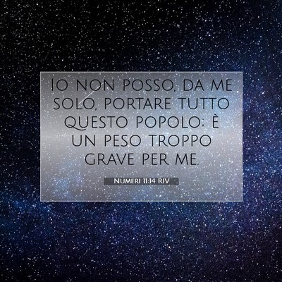 Numeri 11:14 Versetto della Bibbia Spiegato
