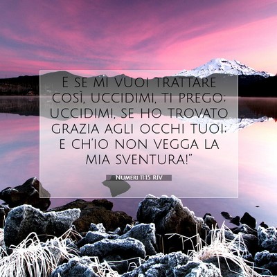 Numeri 11:15 Versetto della Bibbia Spiegato