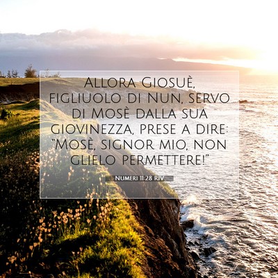 Numeri 11:28 RIV Immagine del Versetto della Bibbia