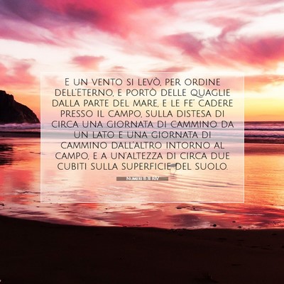 Numeri 11:31 RIV Immagine del Versetto della Bibbia