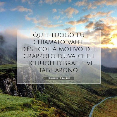 Numeri 13:24 Versetto della Bibbia Spiegato