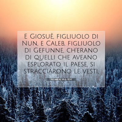 Numeri 14:6 Versetto della Bibbia Spiegato