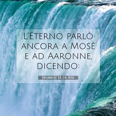 Numeri 14:26 Versetto della Bibbia Spiegato