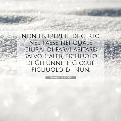 Numeri 14:30 Versetto della Bibbia Spiegato
