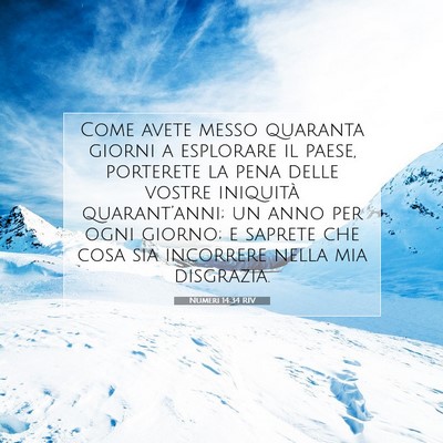 Numeri 14:34 RIV Immagine del Versetto della Bibbia