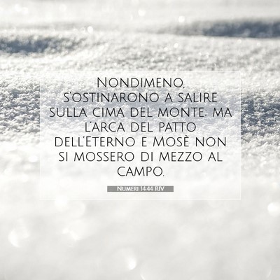 Numeri 14:44 Versetto della Bibbia Spiegato