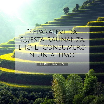 Numeri 16:21 Versetto della Bibbia Spiegato