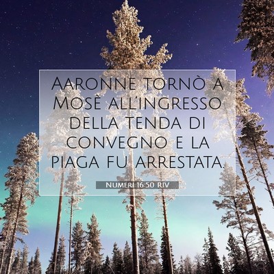 Numeri 16:50 Versetto della Bibbia Spiegato