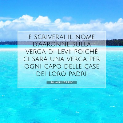 Numeri 17:3 RIV Immagine del Versetto della Bibbia