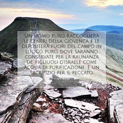 Numeri 19:9 RIV Immagine del Versetto della Bibbia