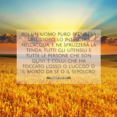 Numeri 19:18 Versetto della Bibbia Spiegato