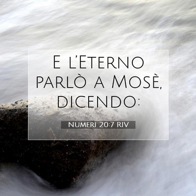 Numeri 20:7 Versetto della Bibbia Spiegato