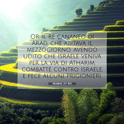 Numeri 21:1 Versetto della Bibbia Spiegato