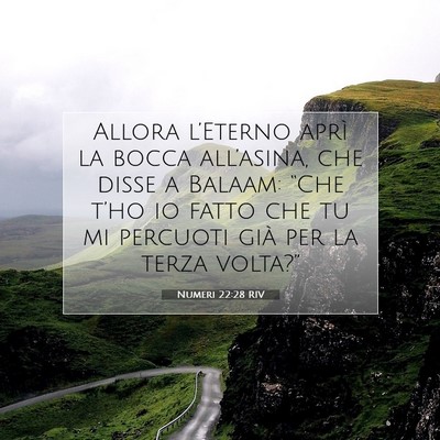 Numeri 22:28 RIV Immagine del Versetto della Bibbia