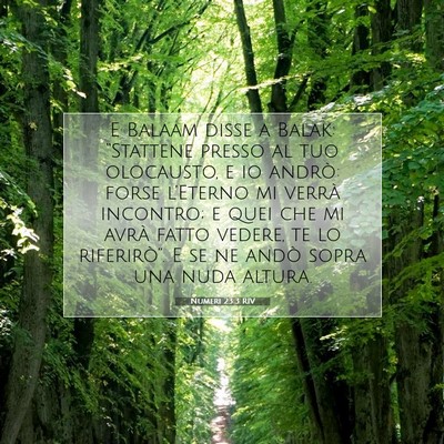 Numeri 23:3 RIV Immagine del Versetto della Bibbia