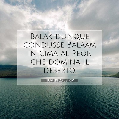 Numeri 23:28 RIV Immagine del Versetto della Bibbia