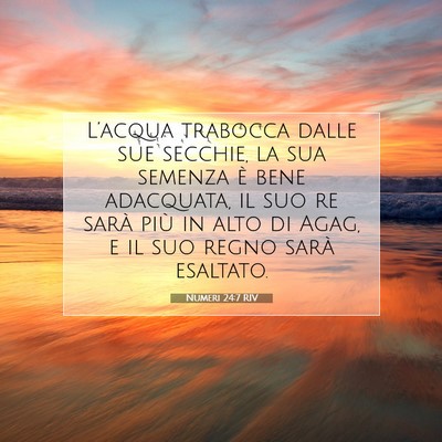 Numeri 24:7 RIV Immagine del Versetto della Bibbia