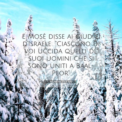 Numeri 25:5 Versetto della Bibbia Spiegato