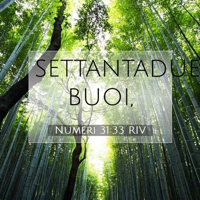 Numeri 31:33 Versetto della Bibbia Spiegato