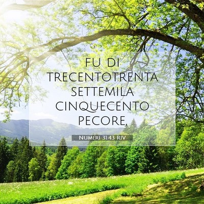 Numeri 31:43 Versetto della Bibbia Spiegato