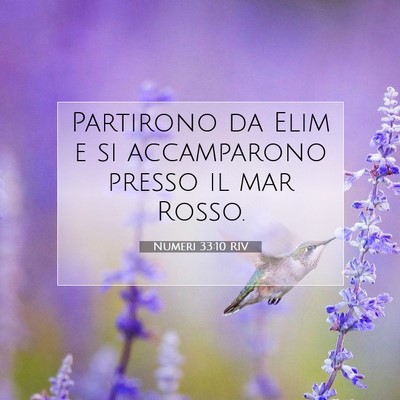 Numeri 33:10 Versetto della Bibbia Spiegato