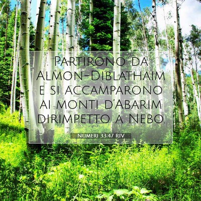 Numeri 33:47 Versetto della Bibbia Spiegato