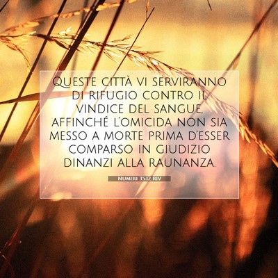 Numeri 35:12 Versetto della Bibbia Spiegato