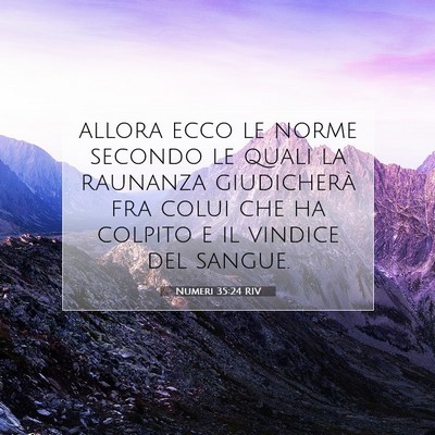 Numeri 35:24 Versetto della Bibbia Spiegato