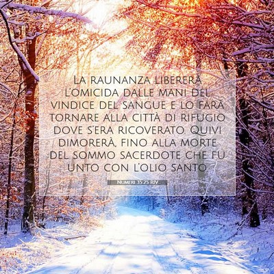 Numeri 35:25 Versetto della Bibbia Spiegato